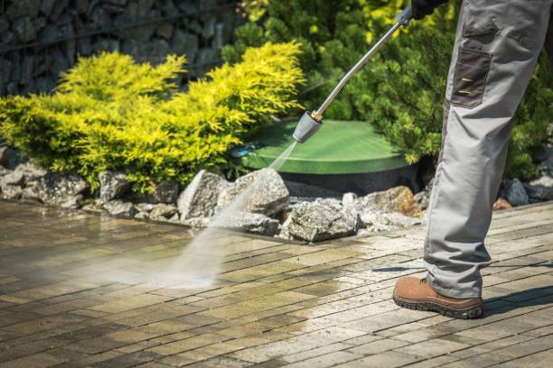 Pre-Holiday Cleaning in Wilton Manors, FL