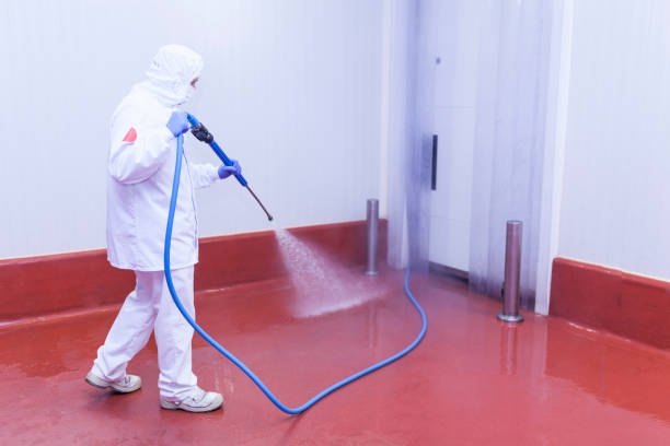 Best Playground Equipment Cleaning  in Wilton Manors, FL