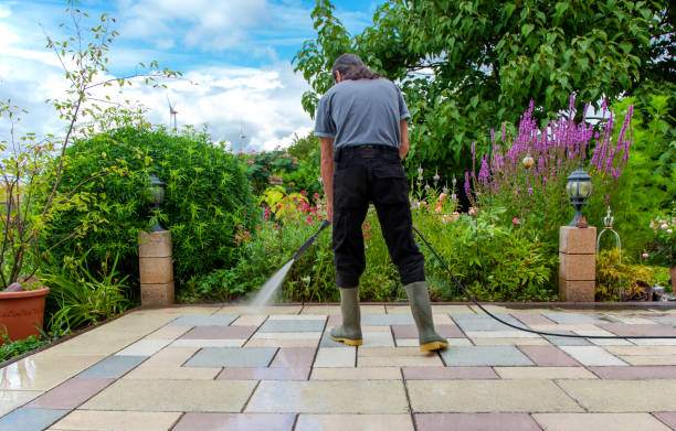Best Spring Cleaning  in Wilton Manors, FL